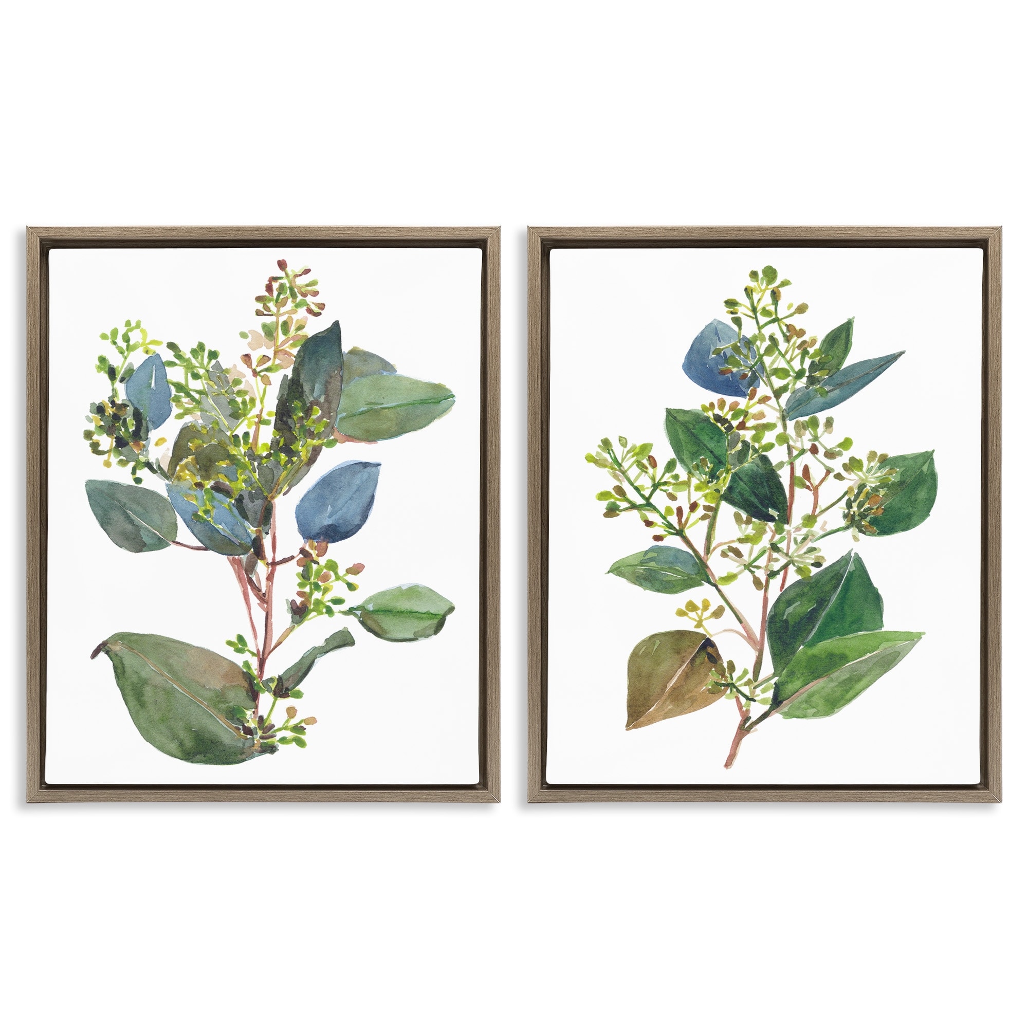 Stupell Soft Eucalyptus Plant Ombre Leaves Framed Floater Canvas Wall Art Design by Melissa Wang (Set of 2)
