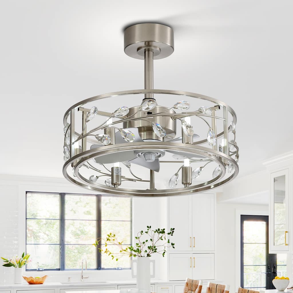 20" Modern 5-Blade Caged Ceiling Fan with Light Kit and Remote