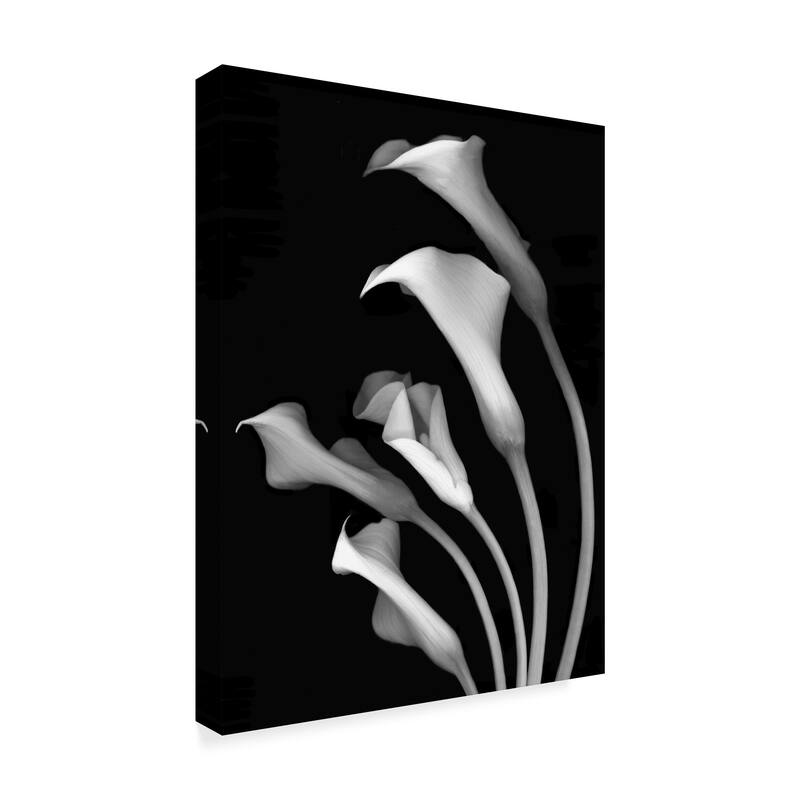Susan S. Barmon 'Calla Lilies 3 Black And White' Canvas Art
