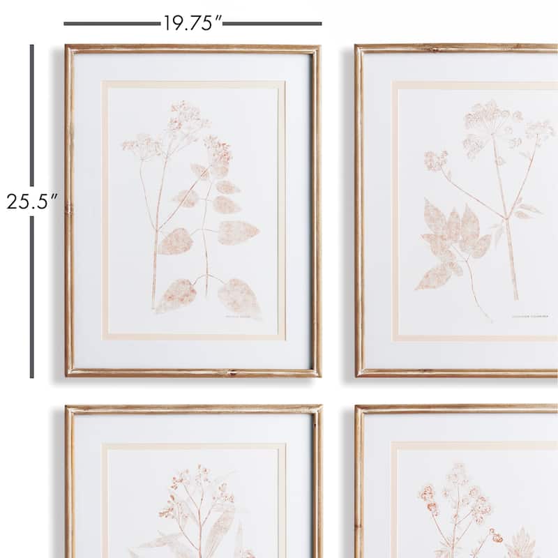 blush botanical study, set of 4