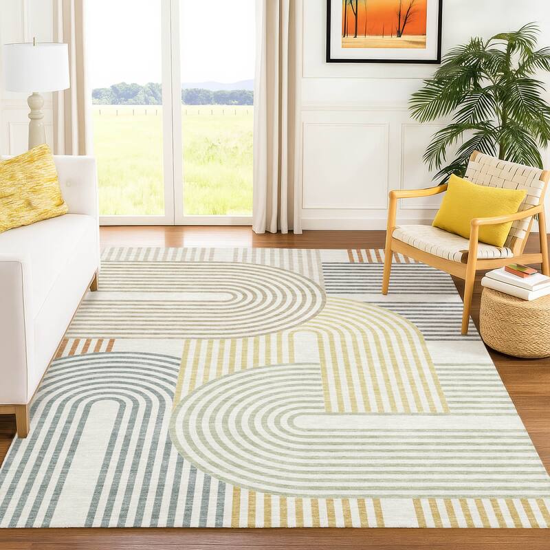 Machine Washable Indoor/ Outdoor Modern Basehor Chantille Rug