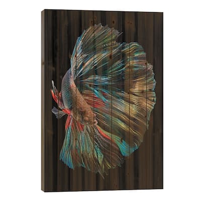 The Betta Fish Print On Wood by Andi Halil - Multi-Color