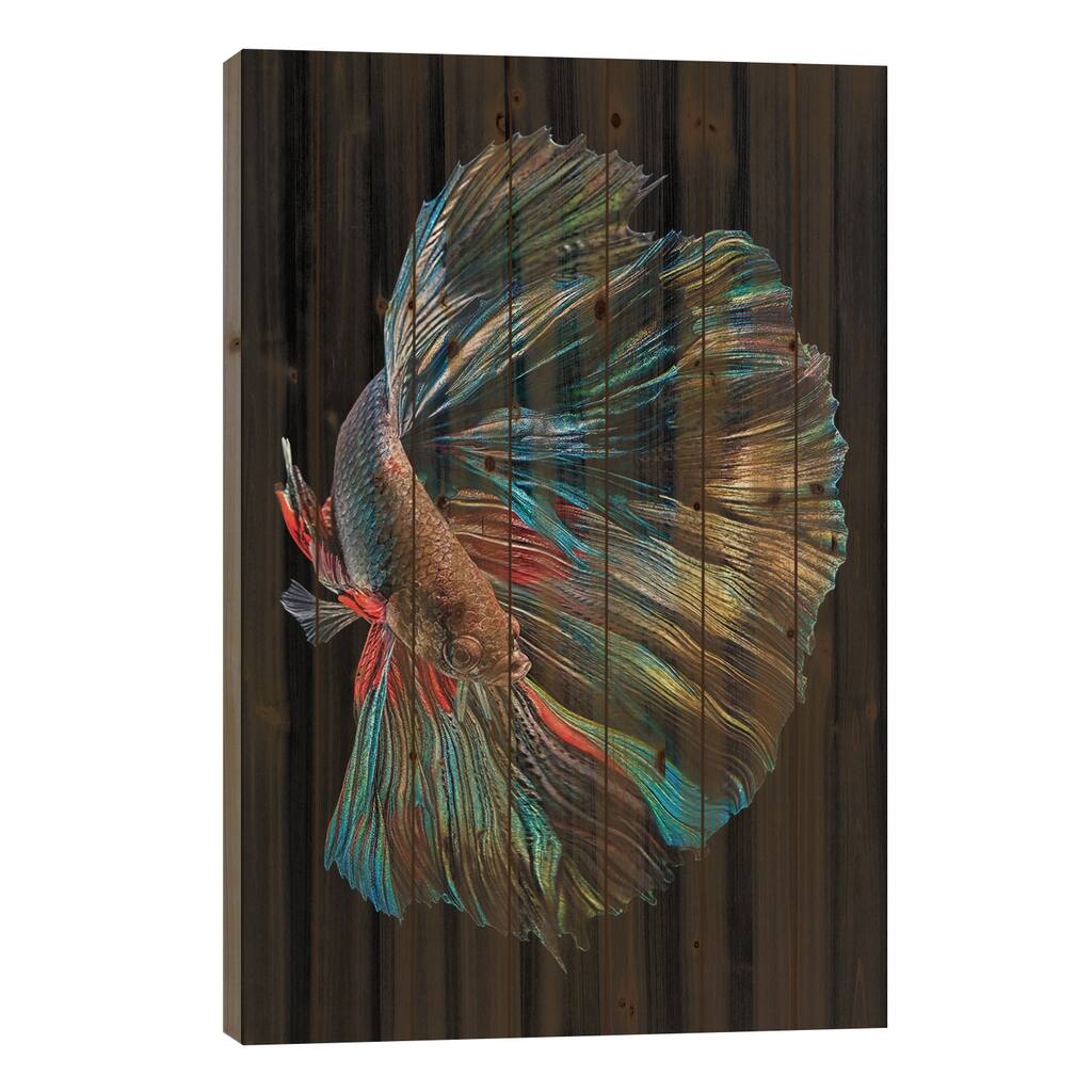 The Betta Fish Print On Wood by Andi Halil - Multi-Color