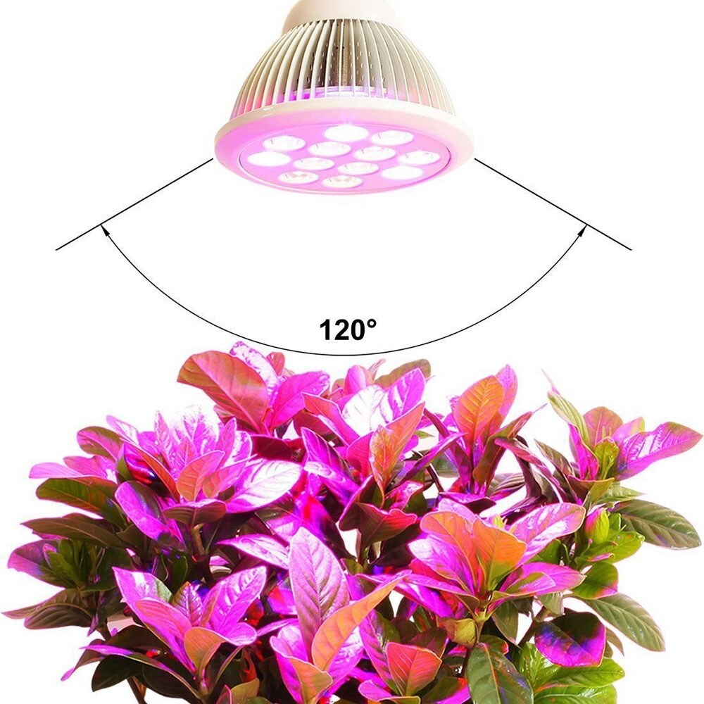Shop Led Grow Light Bulb High Efficient Hydroponic Plant Grow