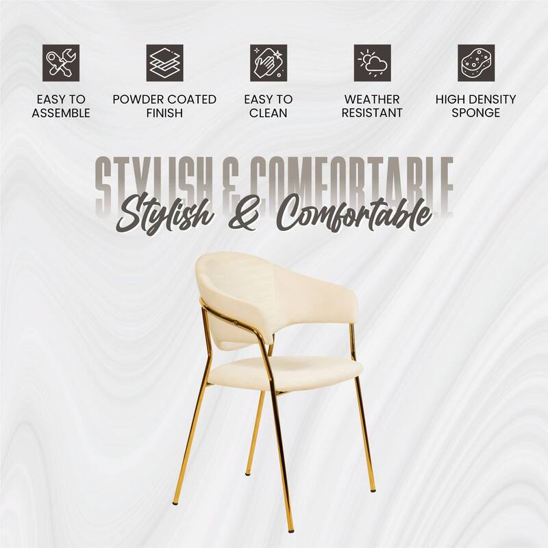 LeisureMod Set of 2 Bella Modern Dining Chair Upholstered in Leather or Velvet & Gold Base for Home Office Kitchen