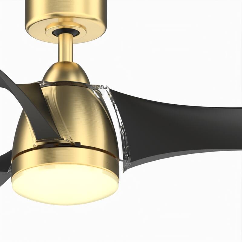 Klear 56 inch Indoor/Outdoor Ceiling Fan with Black Blades and LED CCT Select Light Kit - Brushed Satin Brass