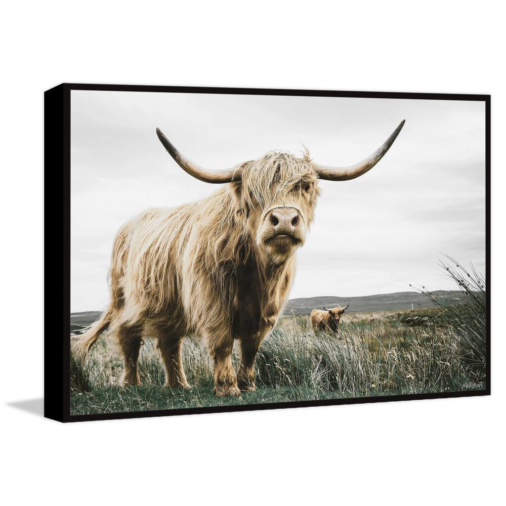 Roaming Cattle Floater Framed Print on Canvas