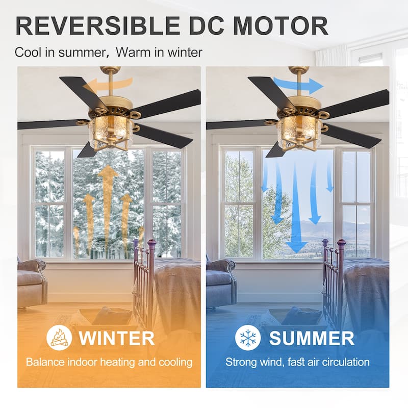 52" Reversible 5-Blade Caged Ceiling Fan with Light and Remote