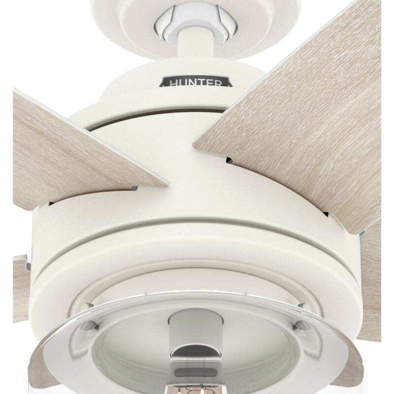 Hunter Margo Ceiling Fan w/ LED Light Kit, Handheld Remote - Transitional, Bohemian