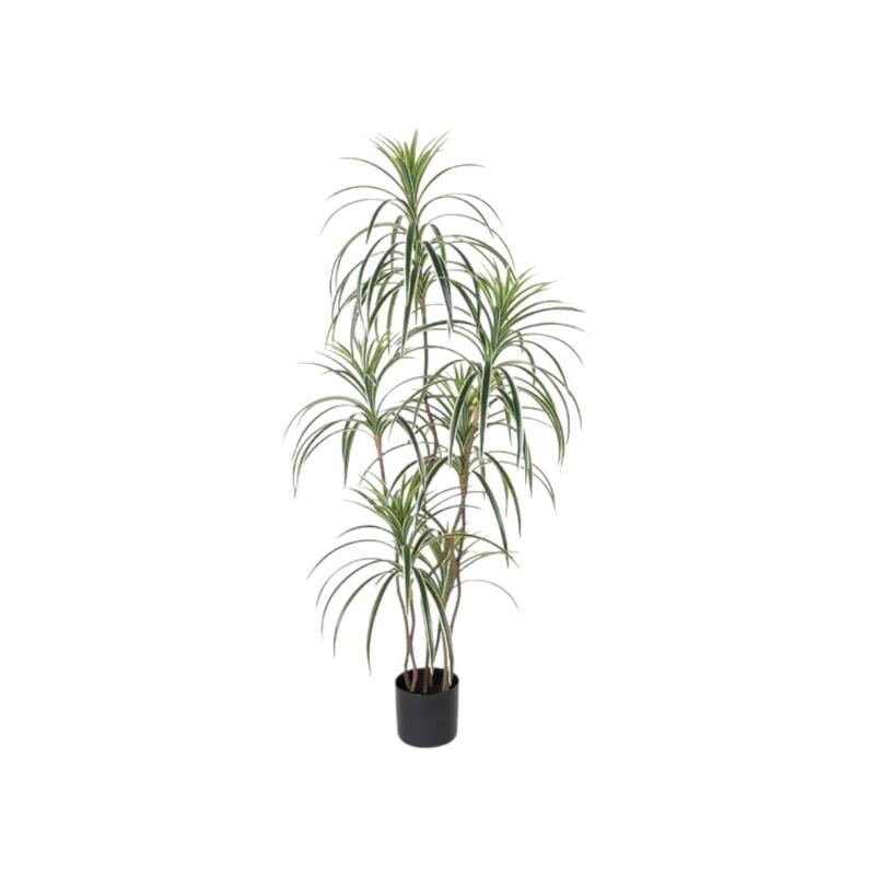 HomeRoots 63" Green Artificial Dracaena Tree in a Black Pot - 6.69 in. x 62.99 in. x 6.69 in.