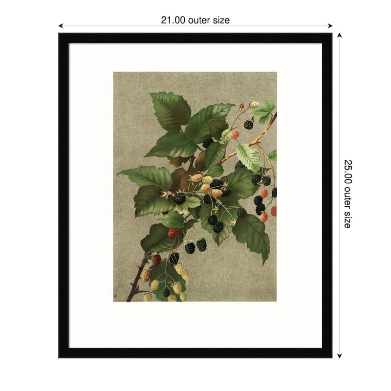 Blackberries by Ellen Thayer Fisher Wood Framed Wall Art Print
