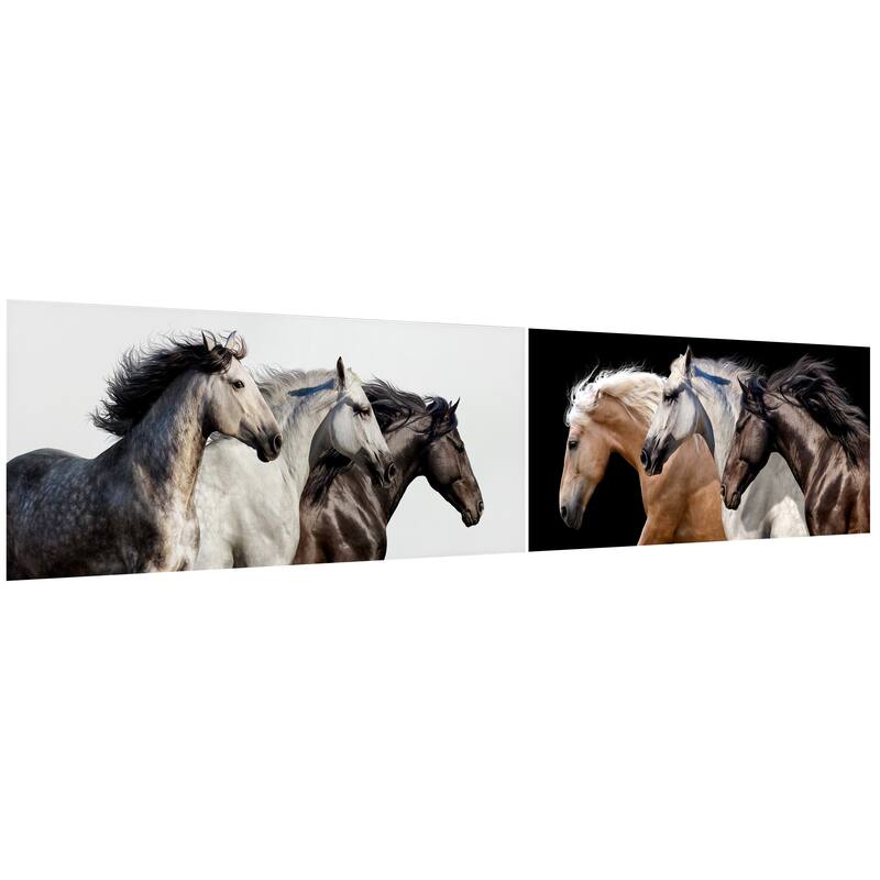 Horse Glass Wall Art Printed on Frameless Free Floating Tempered Glass Panel - Black