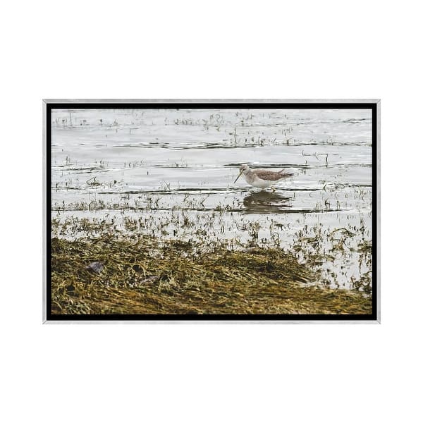 slide 2 of 9, iCanvas "Sand Piper Water Fowl" by Louis Ruth Framed