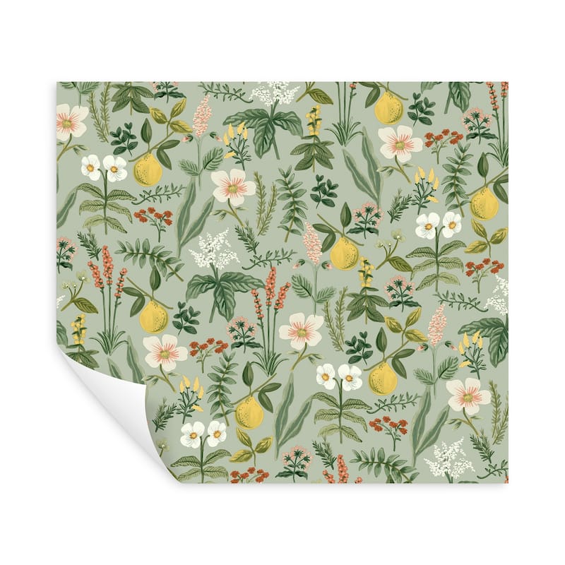 Rifle Paper Co. Herb Garden Sage Botanical Premium Peel + Stick Wallpaper
