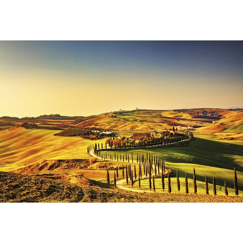 Dimex Tuscany Wall Mural - 98.4in x 147.6in x 0.025in