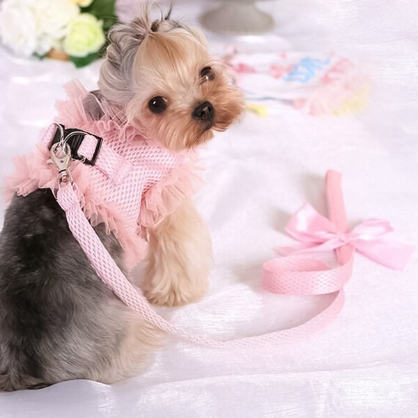Bed bath and sales beyond dog pajamas