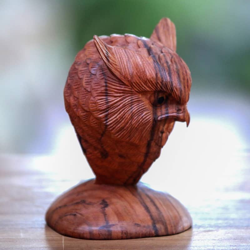 Novica Handmade Owl Bust Wood Sculpture