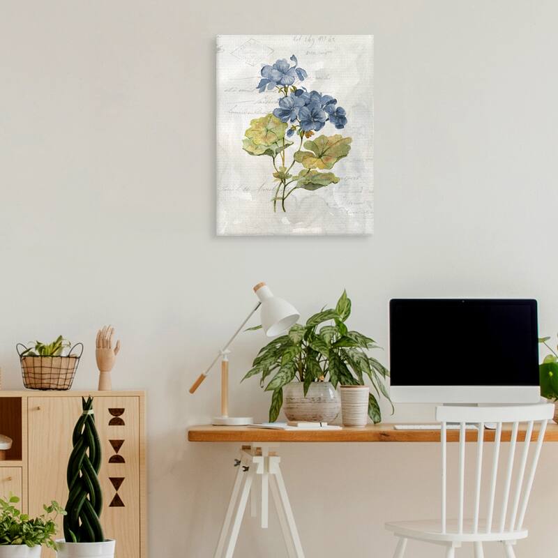 Blue Linen Geranium by Carol Robinson Canvas Art Print