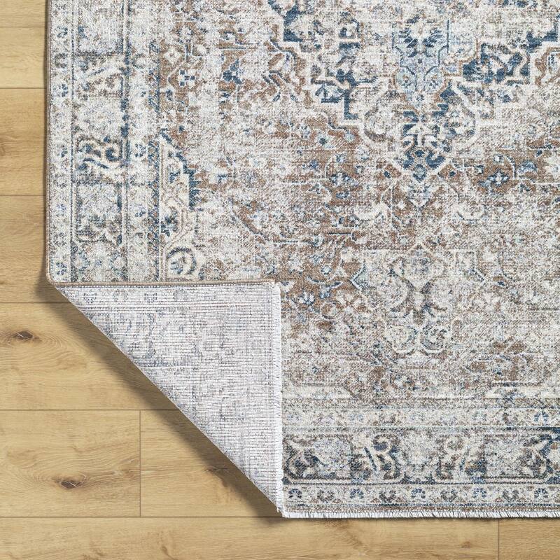Dobbins Traditional Medallion Area Rug