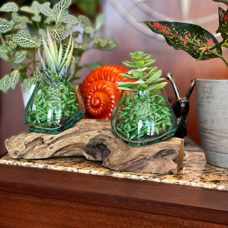 10.5" Double Molten Glass Bowls On Driftwood Hand Blown Planter