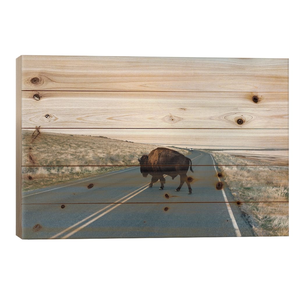 Buffalo Bison Print On Wood by Chelsea Victoria - Multi-Color