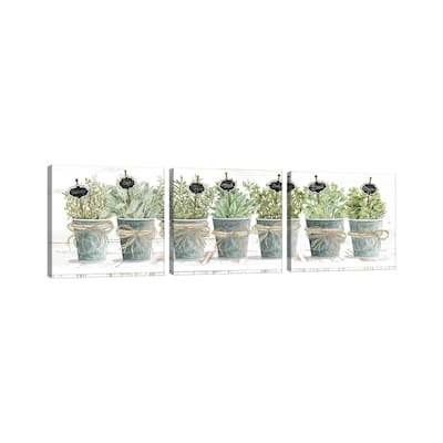 iCanvas "Herbs In A Row" by Cindy Jacobs 3-Piece Wall Art Set