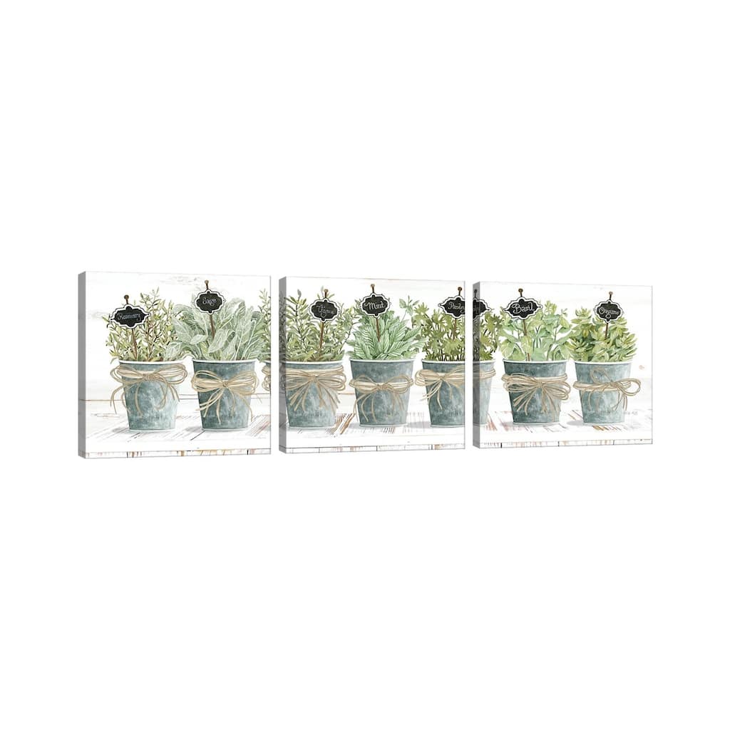 iCanvas "Herbs In A Row" by Cindy Jacobs 3-Piece Wall Art Set