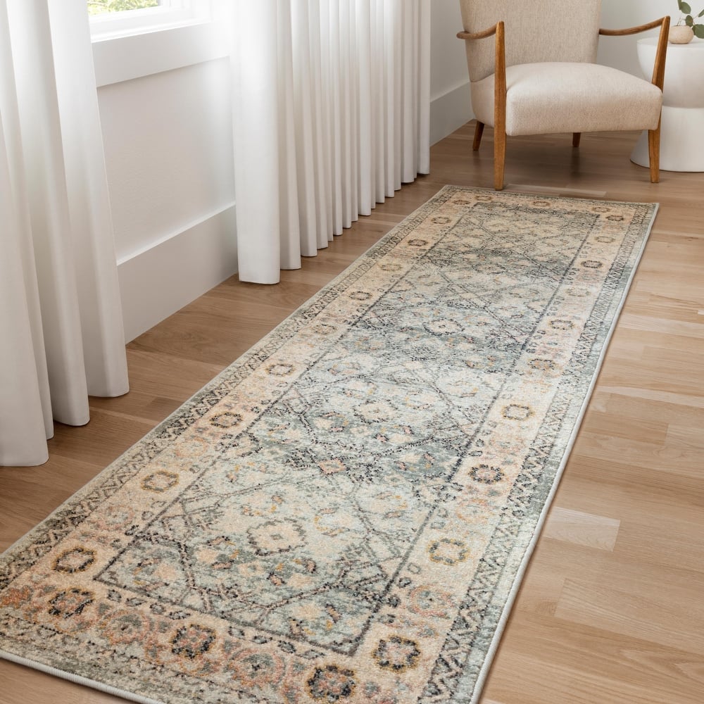 Alexander Home Luxe Shabby Chic Antiqued Distressed Oriental Area Rug