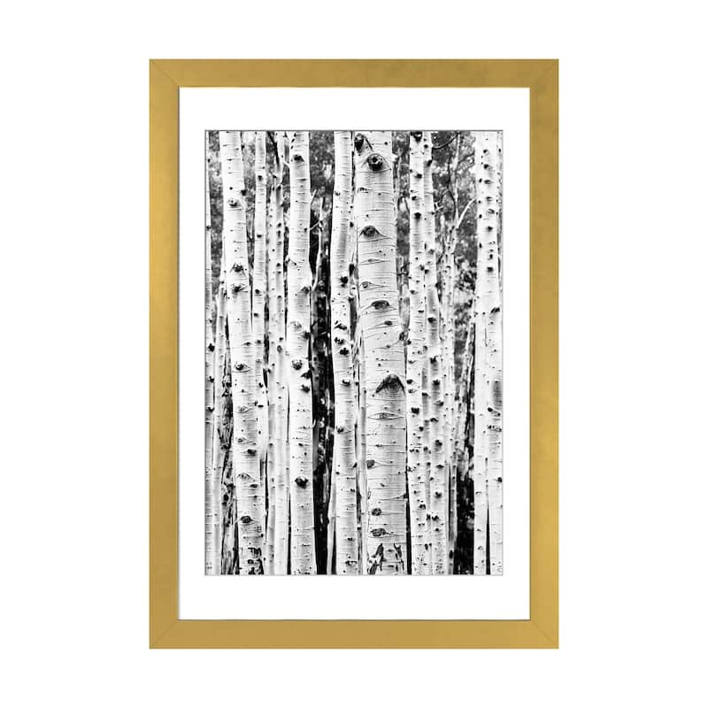 iCanvas "Birch In Black & White" by Sisi & Seb PFA - Gold - 24x16x1