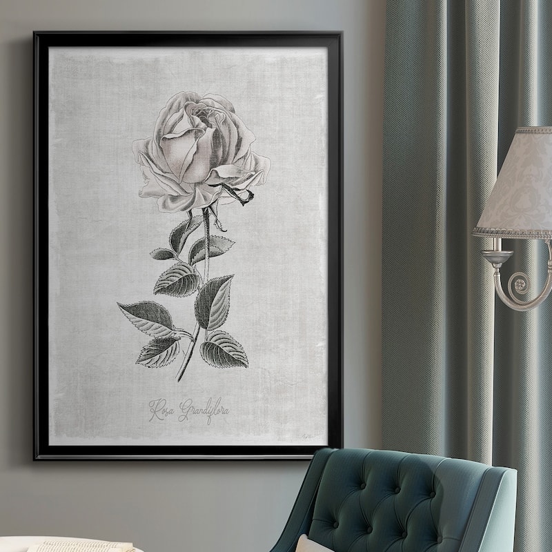 Vintage Botanical II Premium Framed Print - Ready to Hang