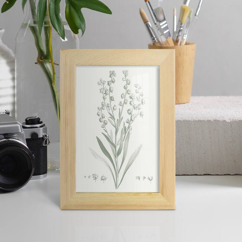 Botanical Study in Sage I -Framed Print w/glass-Cherry Red