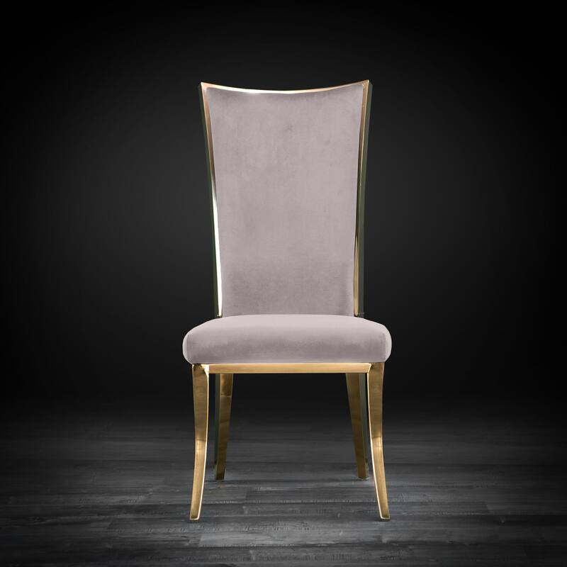 Massimo Titanium Gold Stainless Steel Dining Chair, Set of 2