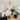 Farmhouse light bulb glass metal rattan dining Room black ceiling light - N/A
