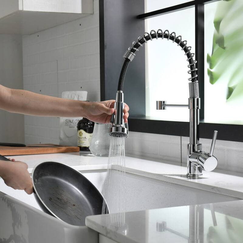 Single-Handle Pull-Out Sprayer Kitchen Faucet with Dual Function