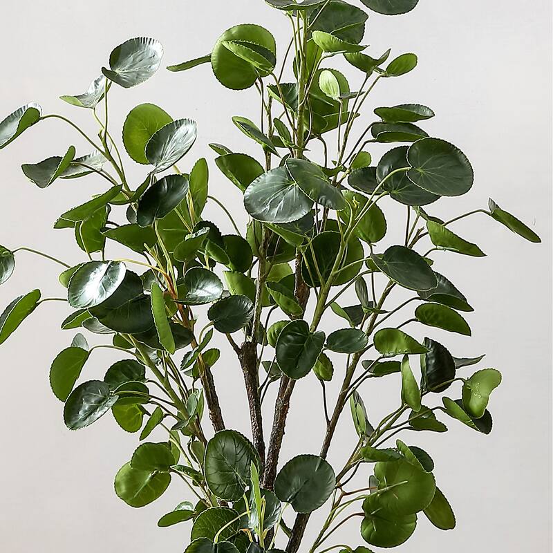 SAFAVIEH Merrie Faux Polyscias Fruticosa Potted Tree - 16.9" W x 13" L x 49" H - 17Wx13Dx37H