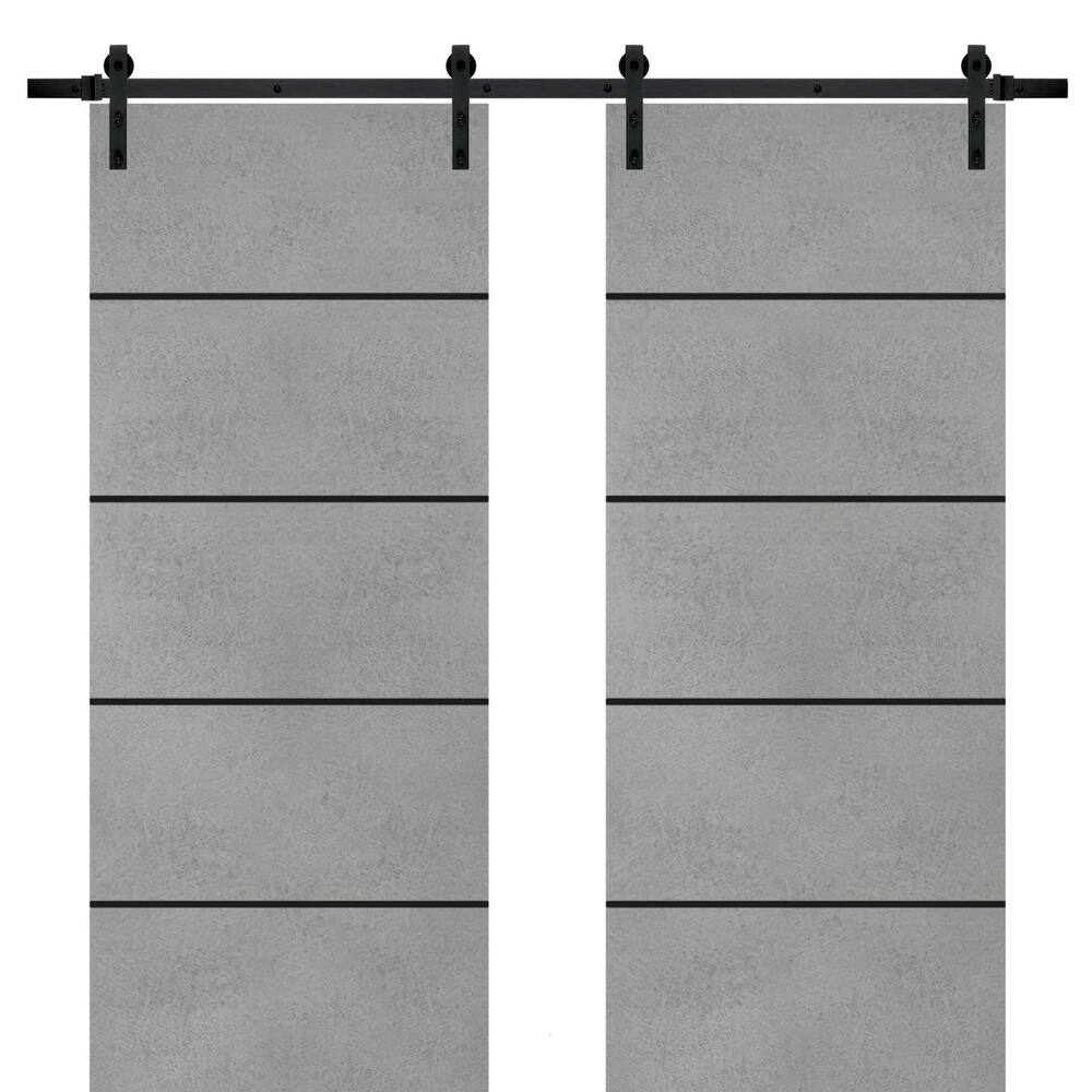 Sturdy Double Barn Door 36 x 80 with Planum 0015 Concrete with 13FT