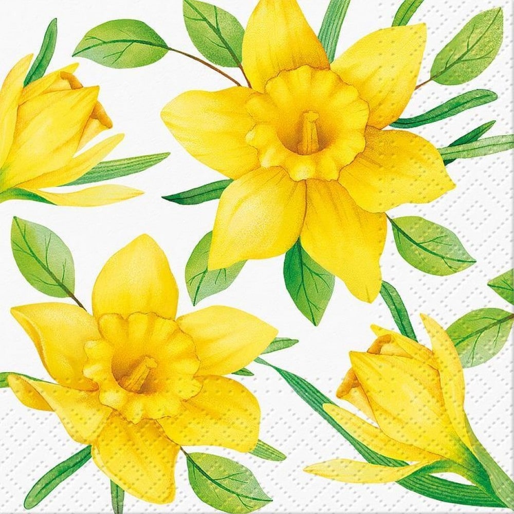 Set Of 20 Luncheon Daffodils In Bloom Napkins
