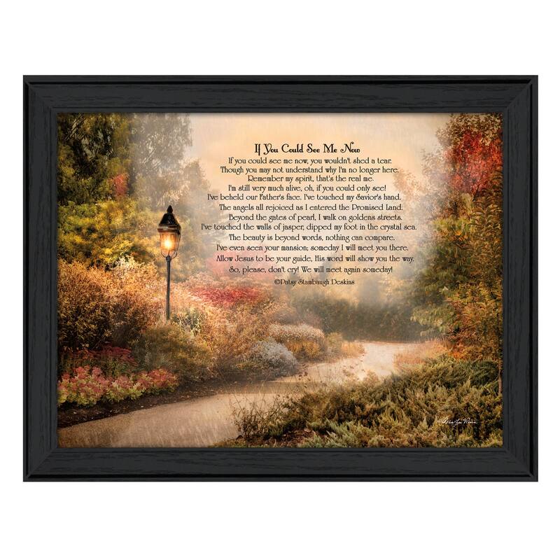 TrendyDecor4U Traditional "If You Could See Me Now" Framed Print Wall Art by Robin-Lee Vieira