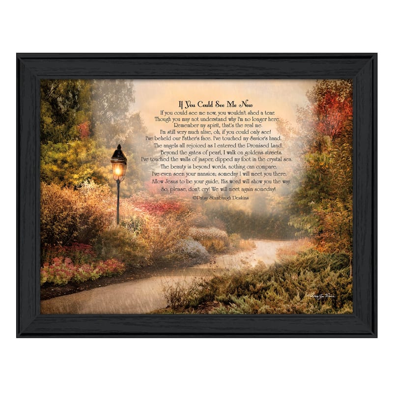 TrendyDecor4U Traditional "If You Could See Me Now" Framed Print Wall Art by Robin-Lee Vieira