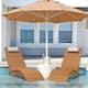 Option Teak Color
