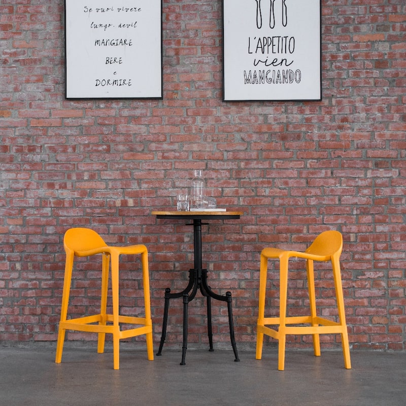Lagoon Joyous Resin Counter Stool, Set of 2