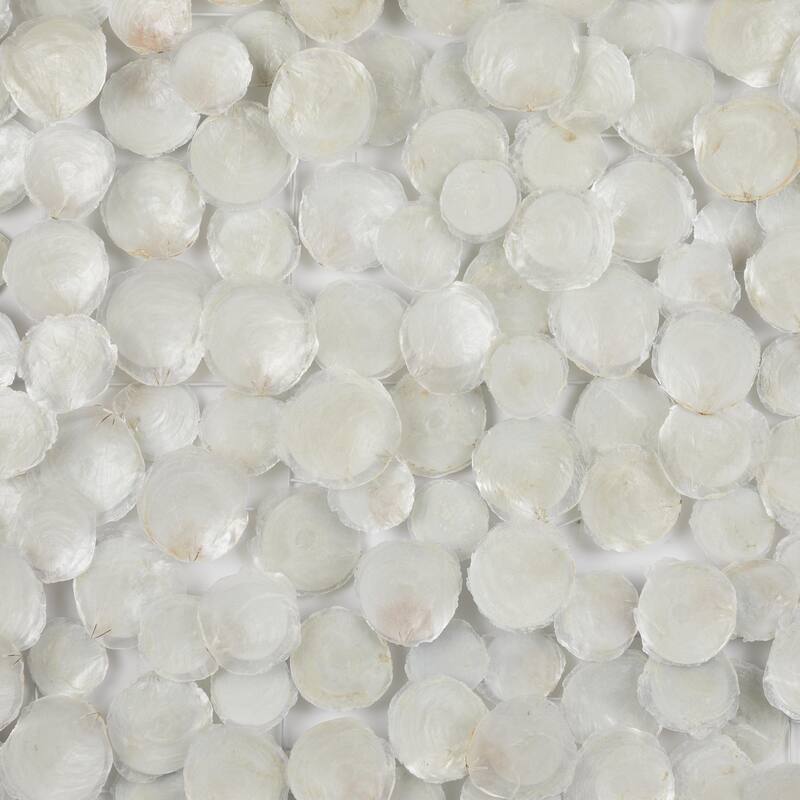 Capiz Shell Geometric Handmade Dimensional Overlapping Living Room Wall Decor with Black Metal Frame - White - Roche River Decor