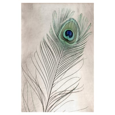 Feathers #11 by Alan Blaustein Canvas Art Print