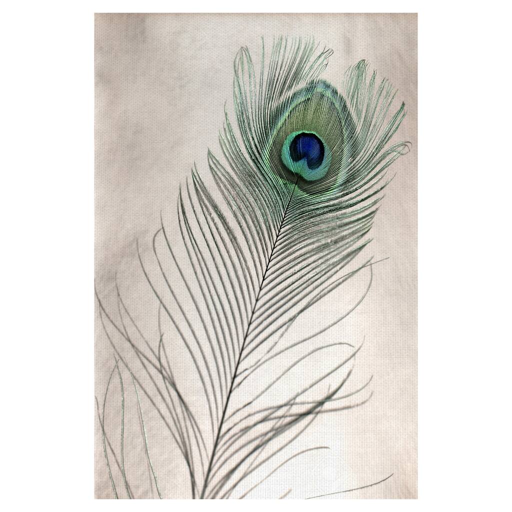 Feathers #11 by Alan Blaustein Canvas Art Print