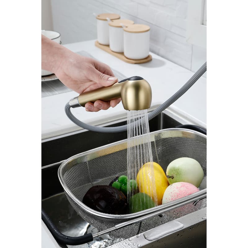 Utility Sink Faucets Single-Handle Pull-Out Laundry Faucet with Dual Spray Function in Stainless Spot Resistant Gold
