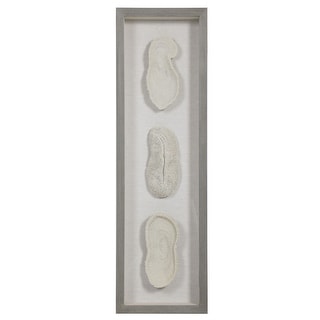Uttermost White Coral Shadow Box Overstock 32195880