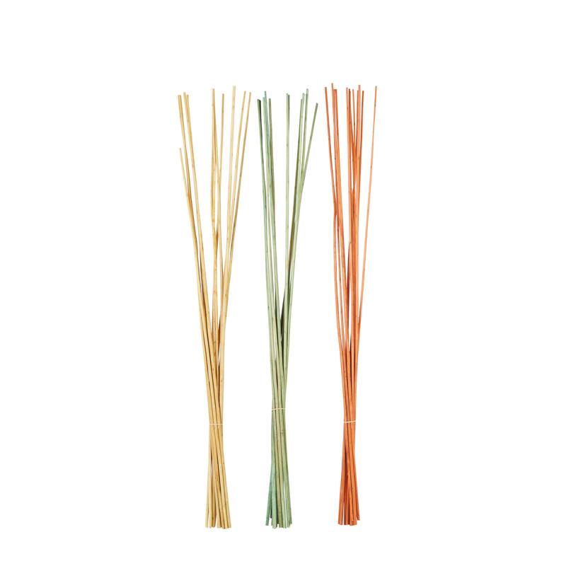 Multi colored, White Brown or Light Brown Dried Plant Pigeon pea Natural Foliage (Set of 2)