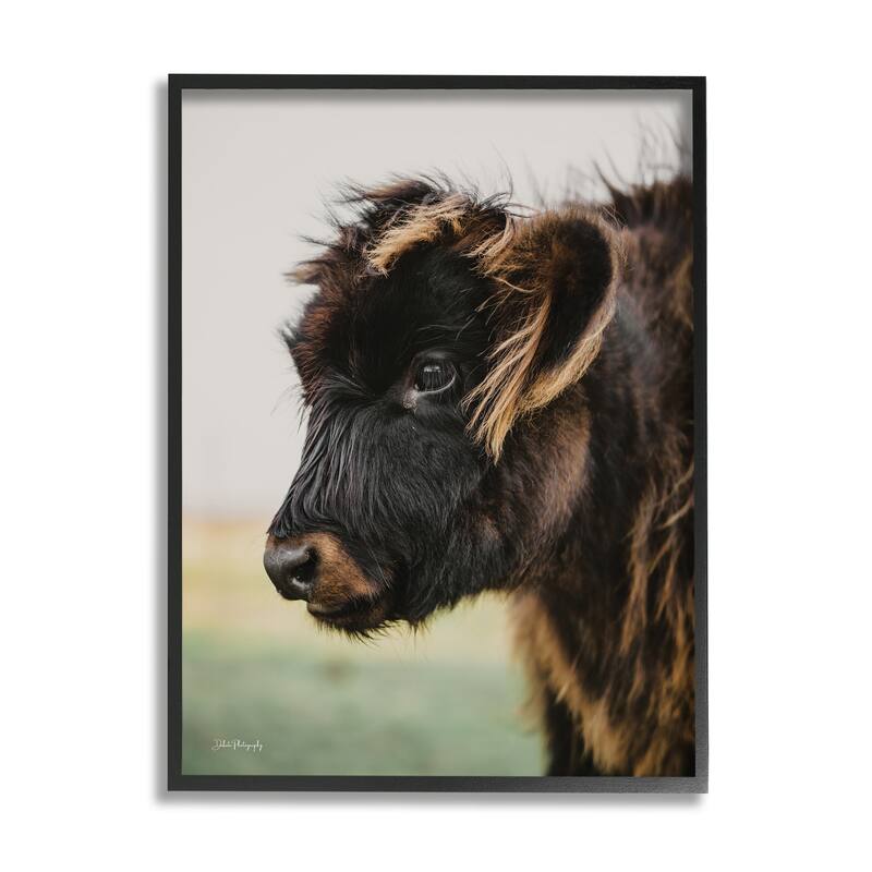 Stupell Baby Cow Photography Framed Giclee Art Design by Dakota Diener - 11 x 14 - Black