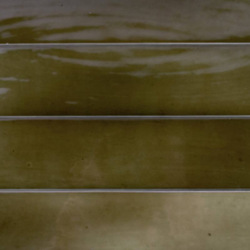 Apollo tile 2.6" x 16" Silken Glossy Olive Green Ceramic Tile (10.76 sq ft/case) - 38 Pack