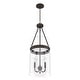 preview thumbnail 9 of 10, Hunter Devon Park 3-Light Pendant - Kitchen Island, Dining Room, Entry - Farmhouse, Rustic, Transitional